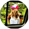 Facebook & Instagram Ads 14 Clara Novoa